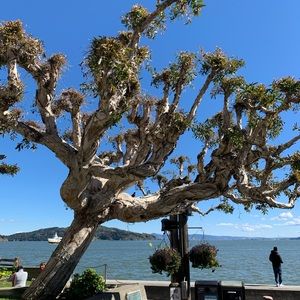 Meet your Posher, Paul